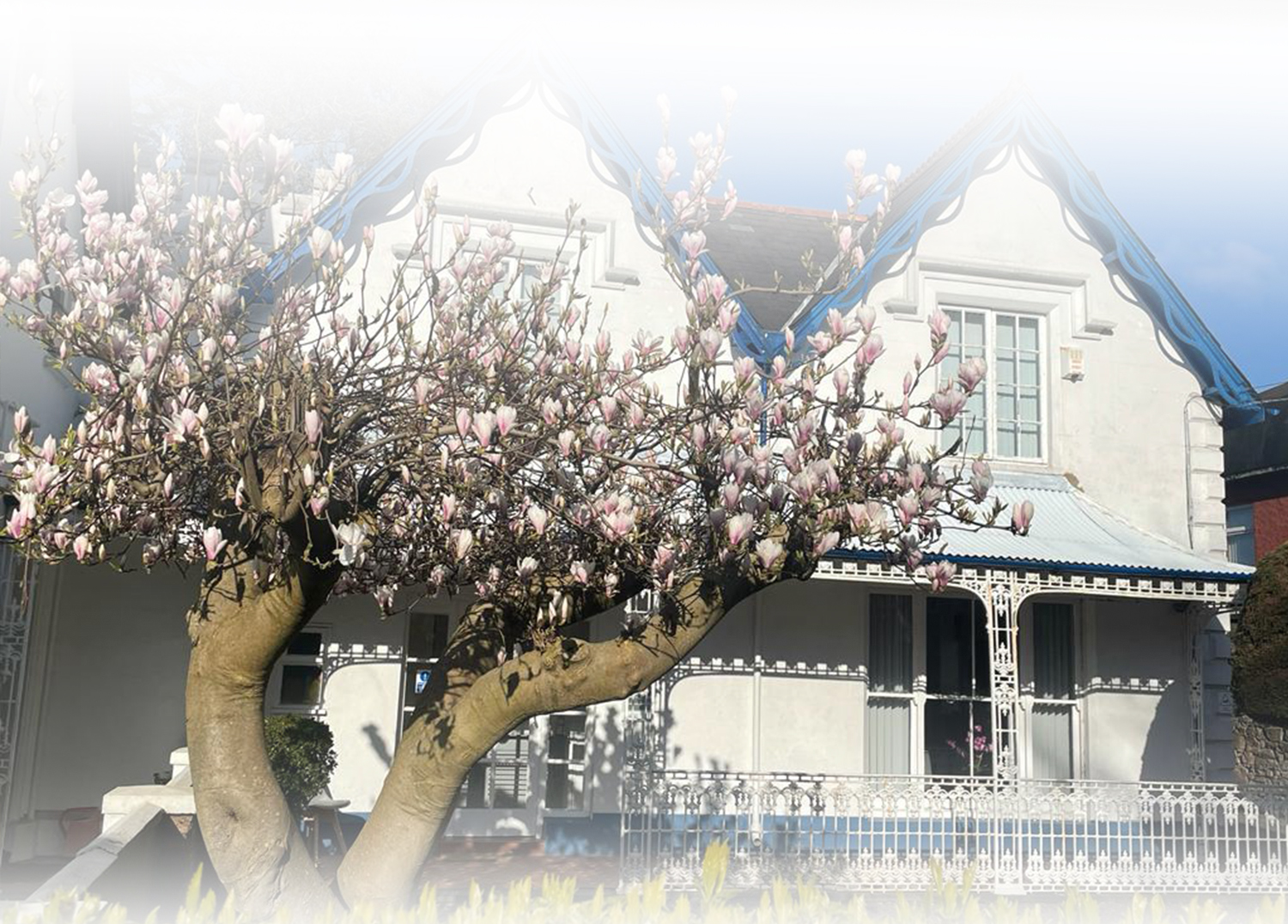 Banner Image Sixgables Dental