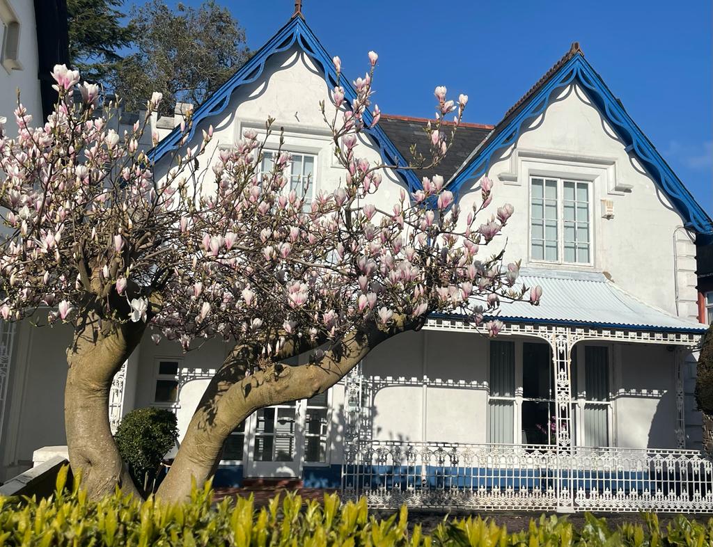 IMG-2566 Sixgables Dental